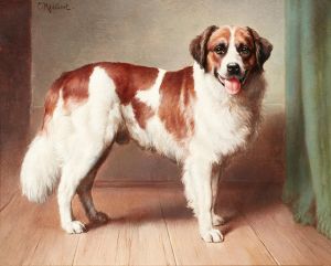 Portrait of a St. Bernard