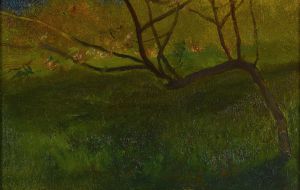 Study Of Apple Tree. Spring