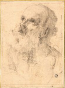 Head of an Old Man