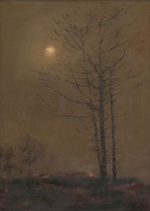 Evening landscape