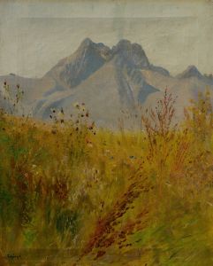 Lomnický Peak