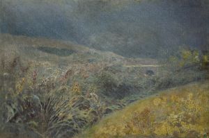 Motif from the Belianske Tatra
