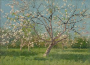 Study of Blooming Trees in an Orchard