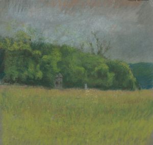 Summer landscape