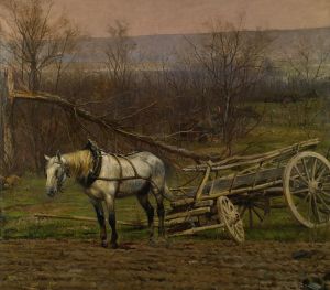 Charrette Attelée D’un Cheval Blanc