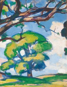 Trees, Douglas Hall