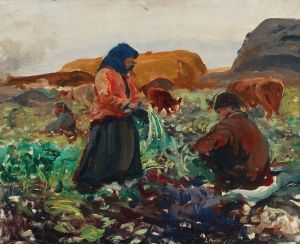 Harvesting beetroots II