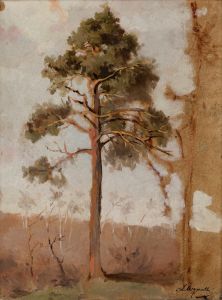Pines at Połąga