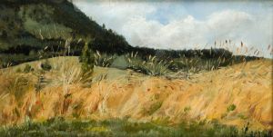 Corn-Field