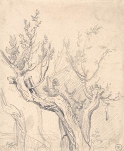 A Gnarled Tree