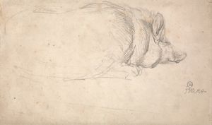 A Hog, Sleeping