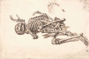 A Human Skeleton