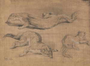 Ferrets