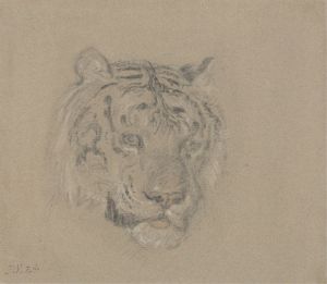 Head of a Tiger