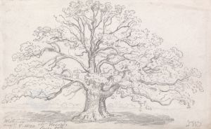 Mr. Howard’s Large Oak, August 5, 1820