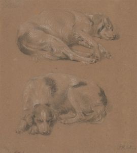 Studies of Dogs lying down