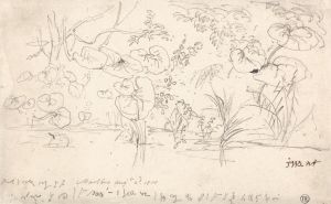 Studies of Plants, August 2, 1815