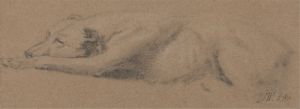 Study of a Sleeping Dog