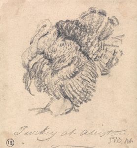 Study of a Turkey