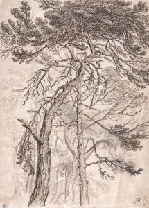 Study of Trees