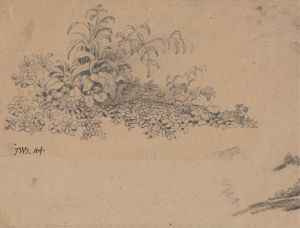Study of Undergrowth