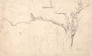 Tree Study