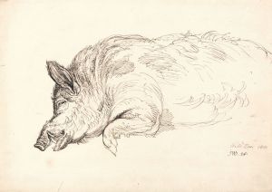 Wild Boar