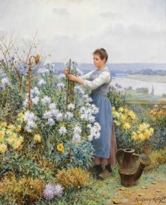 Chrysanthemums