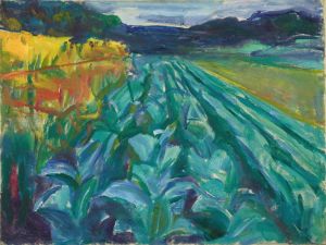 Cabbage Field
