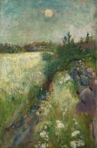 Flowery Meadow at Veierland