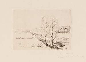 Norwegische Landschaft
