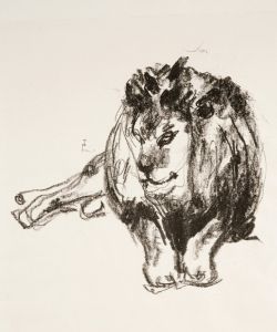 Lion Lying Down