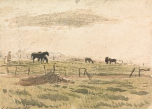 Horses in a Paddock
