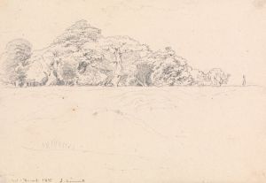 Windsor Forest
