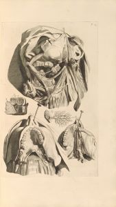Anatomia humani corporis Pl.015