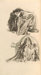 Anatomia humani corporis Pl.016