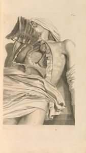 Anatomia humani corporis Pl.022