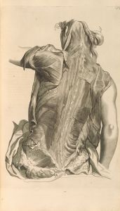Anatomia humani corporis Pl.029