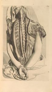 Anatomia humani corporis Pl.031