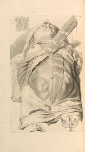 Anatomia humani corporis Pl.033
