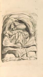 Anatomia humani corporis Pl.042
