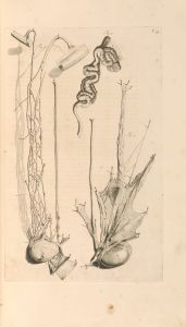 Anatomia humani corporis Pl.046