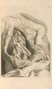 Anatomia humani corporis Pl.050
