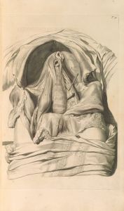 Anatomia humani corporis Pl.053