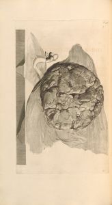 Anatomia humani corporis Pl.059