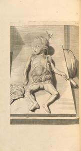 Anatomia humani corporis Pl.063