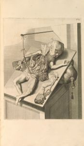 Anatomia humani corporis Pl.064