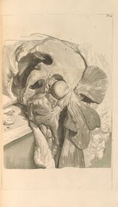 Anatomia humani corporis Pl.075