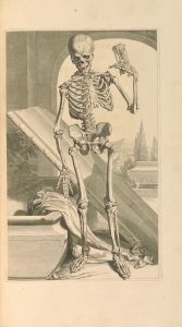 Anatomia humani corporis Pl.088