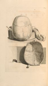 Anatomia humani corporis Pl.092